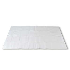 行楽レジャーシート3畳 U-P292 シルバー 敷物 敷き物 ピクニックシート レジャーマット テント マット キャンプ アウトドア バーベキュー キャンプ用品 ユーザー 通販格安セール情報 楽天 通販