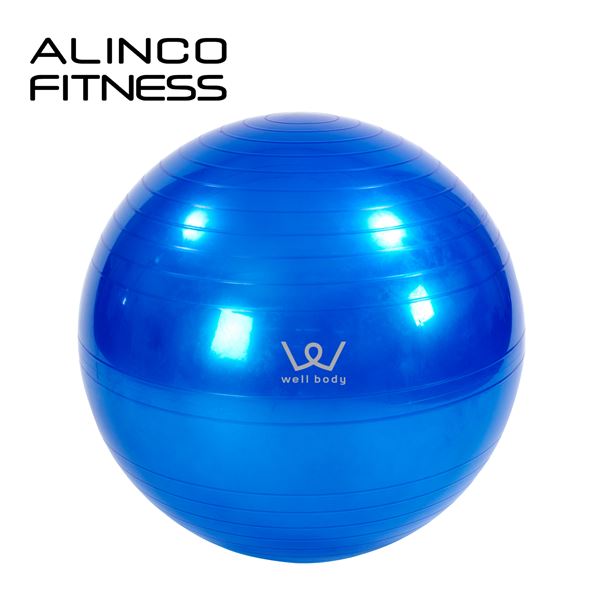 エクササイズボール(65cm) エアポンプ付 EXG025A バランスボール ヨガボール バランス運動 ストレッチ運動 在宅 運動不足解消 アルインコ ALINCO
