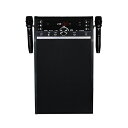 カラオケ DVDカラオケシステム ワイヤレスマイク2本付き DVD-K110 カラオケシステム カラオケ お家カラオケ 太知HD アナバス ANABAS 【送料...