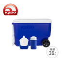 ウィリークール 38 コンボ (36L) #34486 ブルー クーラーボックス クーラーバッグ アウトドア キャンプ スポーツ 釣り イグルー(IGLOO) ★国内正規品★ 【送料無料】