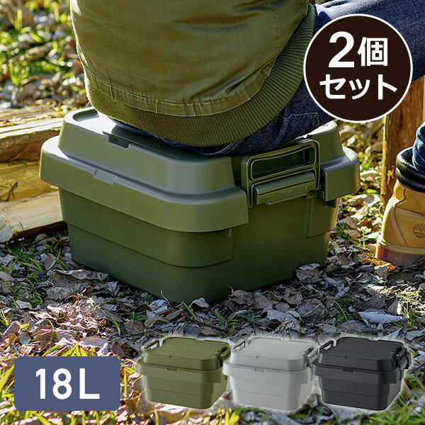 トランクカーゴ TC-30S LOW 18L 2個セット 日本製 GHON152/GHON153/GHON154 座れる 収納ボックス 収納ケース コンテナボックス ハードケース ハードボックス 蓋付き ふた フタ おしゃれ リス RISU 【送料無料】