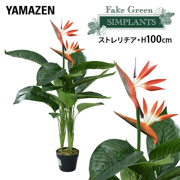 ե꡼ ȥ ⤵100cm FG-STLE100 ͹ ꡼ տʪ ե ¤ ʪ  ȭ ꥢ ʥ ƥꥢ   Ϥʤ ե  YAMAZEN ̵