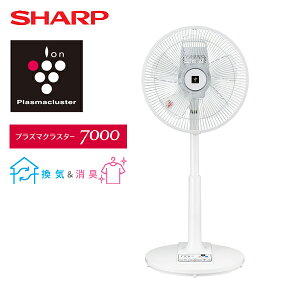  ӥ ⥳ 󿶤 ץ饺ޥ饹 7000  ý PJ-R3AS ۥ磻 󿶤 3ʳ ڥޡդ Ų 㥤ɥå  ץ 㡼 SHARP ̵