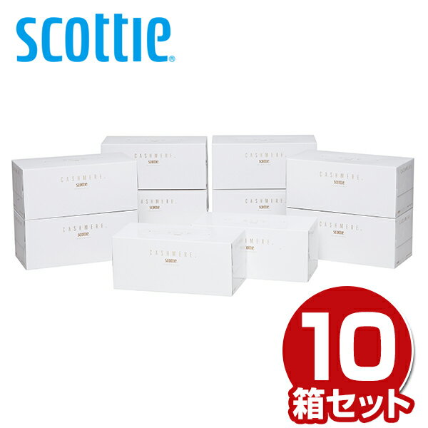 スコッティ カシミヤ ティッシュペーパー440枚(220組)×10箱 ティシュー ティシュペーパー ティッシュボックス 箱 カシミア 鼻 やわらかい 柔らかい 日用品 日本製紙クレシア 