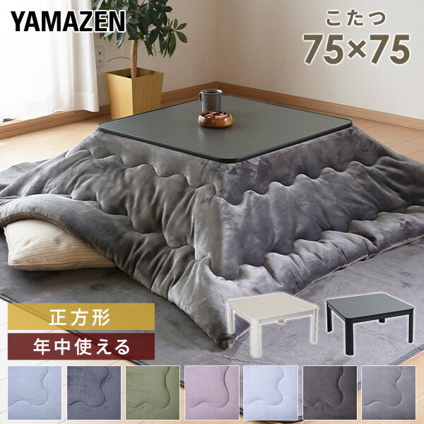  zc ` e[u zcZbg tl o[Vu 75x75cm 300W Zbg R^c |zc e[u 􂦂 Ƌtlzc V VOCt RP YAMAZEN    