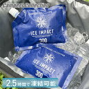 まとめ買い アイスインパクト 300g 保冷剤 長時間 繰り返し使用可能 CIIS-300 アウトドア キャンプ 釣り 部活 お弁当 保冷 急冷 強力 氷点下 山善 YAMAZEN キャンパーズコレクション 【送料無料】