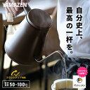 【P10倍 5/16 9:59まで】 電気ケトル 温度調節 ケトル グースネック 0.8L 電気式バリスタポット 1200W 50-100度 保温 空焚き防止 ...