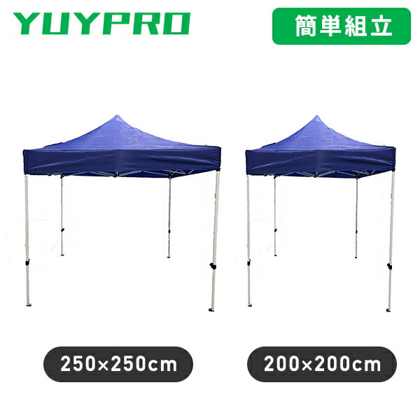 褱ƥ (250250cm)(200200cm) ޤꤿ ǼХåդ Y-NT001/Y-NT002  ñΩ ...