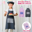 キッズエプロン L (身長:130-150cm) 三角巾・巾着付き 子供用 エプロン 3点セット 学校行事 家庭科 調理実習 給食 配膳 お手伝い 男の子 女の子 キッズ 小学校 小学生 中学年 高学年 おしゃれ かわいい シンプル 綿100% レップ REP 【送料無料】