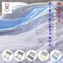 今治タオル ガーゼ&パイルケット ボーダー サンタフェ キリム 約140×190cm 05117401/05117501 今治認定マーク付き 今治 日本製 綿1...