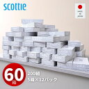 【セール中 7/14 23:59迄】スコッティ ティッシュペーパー 200組5箱×12パック(60箱) ティシュペーパー まとめ買い ケース販売 ボックスティッシュ 日用品 ティッシュ 日本製紙クレシア 【送料無料】