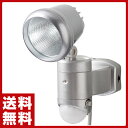 大進(ダイシン) センサーライト/LED 1灯/AC電源/屋...