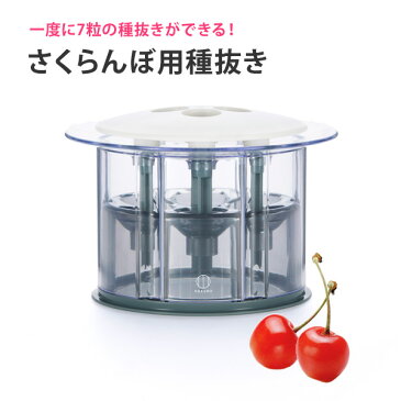 小久保工業所(KOKUBO) さくらんぼ用種抜き KK-127 種取り 種とり キッチンツール チェリーピッター チェリーストーナー 便利グッズ ケーキ 菓子 果実酒 サクランボ 抜き型【送料無料】