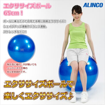 アルインコ(ALINCO) エクササイズボール(65cm) エアポンプ付 EXG025A バランスボール ヨガボール バランス運動 ストレッチ運動 【送料無料】