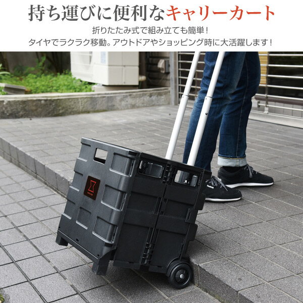 折りたたみオリコンキャリー ショッピングカート 26Lタイプ WOC-26 ブラック 耐荷重25kg 台車 折り畳み 軽量 コンパクト 山善 YAMAZEN ガーデンマスター 【送料無料】