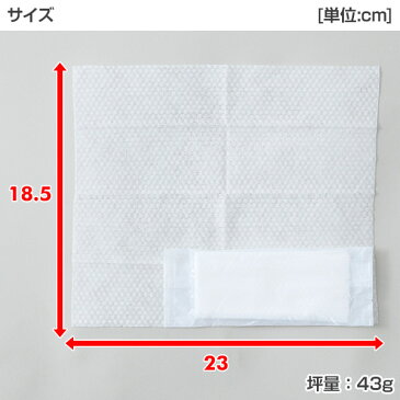 【日本製】 おしぼり 業務用 平型 無地 (2000本) おしぼり 業務用 おしぼりタオル ハンドタオル レーヨンおしぼり 使い捨て 使い捨ておしぼり 紙おしぼり 平型 携帯用 日本ラインファースト 【送料無料】