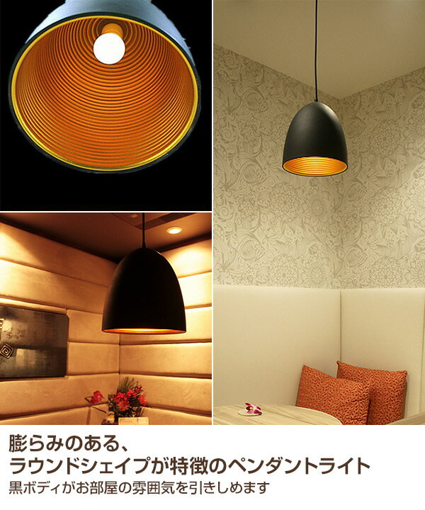 ペンダントライト シーリングライト ポラリス LED電球付 6255041 ブラック LED対応 インテリア かわいい 天井照明 照明　間接照明 ライト 照明器具 リビング ダイニング アクティ(Ac