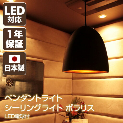 ペンダントライト シーリングライト ポラリス LED電球付 6255041 ブラック LED対応 インテリア かわいい 天井照明 照明　間接照明 ライト 照明器具 リビング ダイニング アクティ(Ac