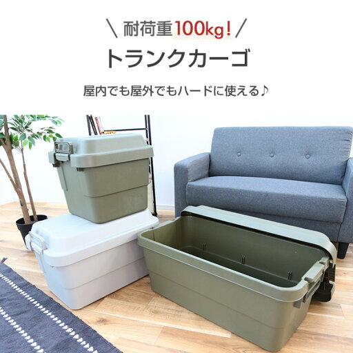 トランクカーゴ 座れる 収納ボックス 収納ケース コンテナボックス おしゃれ 2個セット30L*2 TC-30*2 ハードケース ハードボックス 蓋付き ふた付き フタ付き コンテナボックス トランクボックス リス RISU