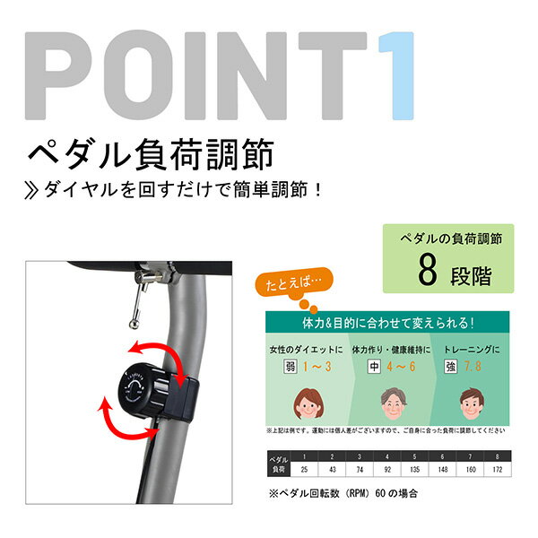 【枚数限定クーポン利用で 22,705円】エアロマグネティックバイク＆フロアマット お買い得セット AF6200/EXP100 エクササイズバイク フィットネスバイク マット付 在宅 運動不足解消 アルインコ ALINCO 【送料無料】