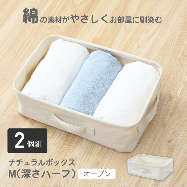 収納ボックス 2個組 ソフトボックス M(深さハーフ) ナチュラルボックス 収納ケース インナーボックス インナーケース おしゃれ おもちゃ 収納 クローゼット 押入れ キッチン リビング 山善 YAMAZEN