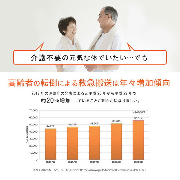 エアロマグネティックミニバイク2119 8段階付加調整 AFB2119K 省スペース トレーニングマシン トレーニングマシーン フィットネスバイク マグネットバイク アルインコ(ALINCO) 【送料無料】