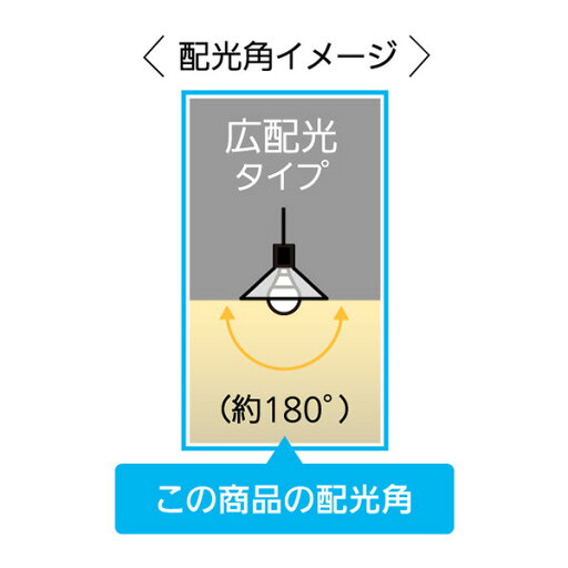 パナソニック LED電球 電球 広配光タイプ 昼光色 LDA4DGEW2T*2 昼光色 照明器具 照明 ライト 電球 昼光色 4個セット パナソニック Panasonic