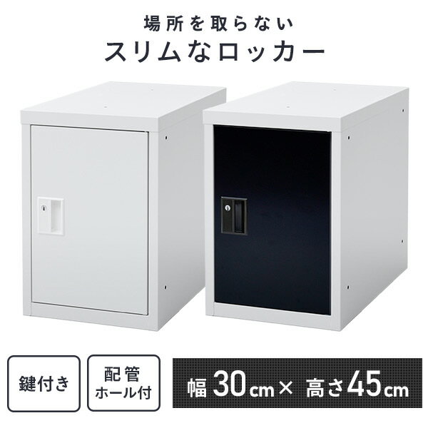 ユニット式ミニロッカー スリム スチールロッカー 鍵付き 幅30 奥行50 高さ45 RL-450H 右開き 上下左右連結ができる ユニット式ミニロッカー カギ付き 更衣室 事務所 オフィス リヨーユウ