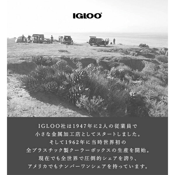 サンプル画像2