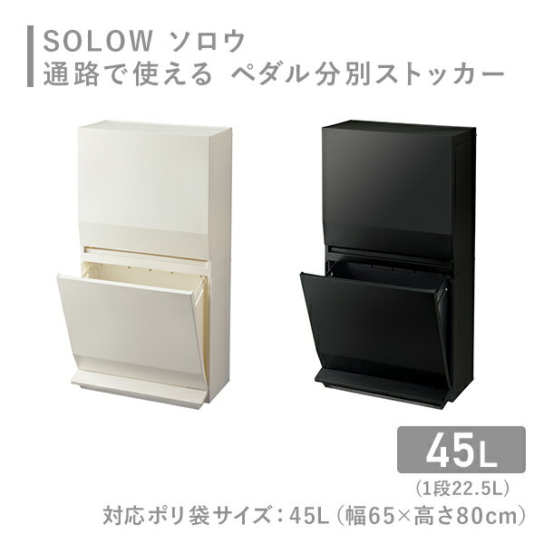 SOLOW ソロウ 分別ストッカー ゴミ箱 薄型 2段 45L GSLW020/GSLW021 ダストボックス 分別 スリム 省スペース ペダル式 キッチン おしゃれ リス RISU