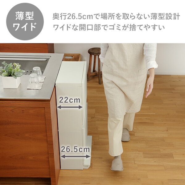 SOLOW ソロウ 分別ストッカー ゴミ箱 薄型 2段 45L GSLW020/GSLW021 ダストボックス 分別 スリム 省スペース ペダル式 キッチン おしゃれ リス RISU