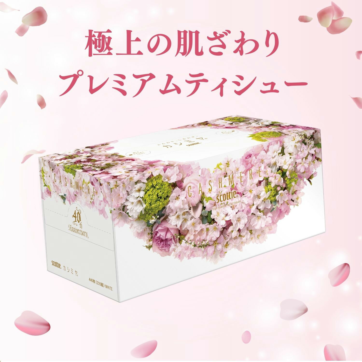 スコッティ カシミヤ ティッシュペーパー さくら 日本製440枚(220組)×10箱 ティシュー ティッシュ ボックスティッシュ 春 桜 サクラ 数量限定 限定パッケージ かわいい 可愛い 綺麗 ケース販売 風邪 花粉症 日本製紙クレシア 【送料無料】