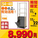【あす楽】 山善(YAMAZEN) レンジ台 (内寸 幅48) ダストボックス上 キッチンラック SKR-2W(WH) ホワイト スペースラック 冷蔵庫上 ラック 収納 レンジラック ゴミ箱上棚 【送料無料】