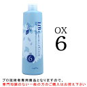 ナプラ HB ケアテクトカラー OX 6% 1000mL 医薬部外品