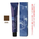 ナンバースリー カラーコンシャス グレイライン ウォームブラウン 9WB 80g (第1剤) 医薬部外品