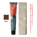 ナンバースリー カラーコンシャス コンシャスライン ウォームブラウン 6WC 80g (第1剤) 医薬部外品