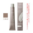 シュワルツコフ テラ by エッセンシティ バフブラウン 5-BU.B 85g (第1剤) 医薬部外品