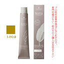 シュワルツコフ テラ by エッセンシティ ハニーブラウン 5-HO.B 85g (第1剤) 医薬部外品