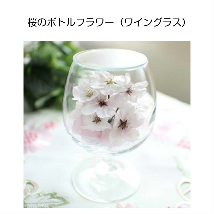 ボトルフラワー【ワイングラス・さくら】 桜 サクラ ソメイヨシノ 母の日 花 ギフト プレゼント 2020 自宅 桜 お花見 雑貨 送別 定年 退職 結婚祝い お見舞い お祝い 開店 発表会 記念 お供え 春 枯れない花 ドライフラワー インテリア