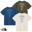 ノースフェイス W'sショートスリーブTNFバグフリーティー レディース 半袖 Tシャツ NTW12449