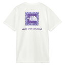 ノースフェイス W'sショートスリーブバンダナスクエアロゴティー レディース 半袖 Tシャツ NTW32446