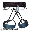 【お取寄せ】 ブラックダイヤモンド テクニシャン メンズ 【10/24現在メーカー在庫数】