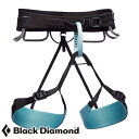 【お取寄せ】 ブラックダイヤモンド テクニシャン ウィメンズ 【10/24現在メーカー在庫数】