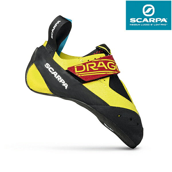 【お取寄せ】 スカルパ ドラゴキッズ 【11/11現在メーカー在庫数】