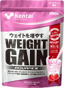 ケンタイ Kentai ウェイトゲイン アドバンス ストロベリー風味 360g ホエイ カゼイン トレーニング フィットネス たんぱく質 カーボ 炭水化物 K3122