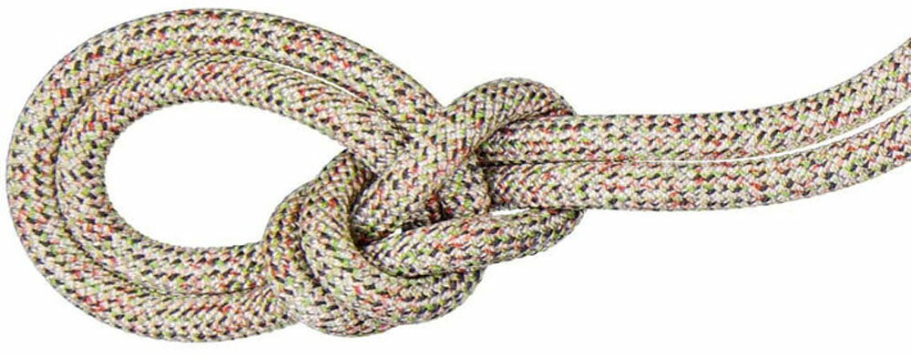 【2/10 2時まで最大2000円OFFクーポン】 マムート MAMMUT アウトドア 9.5 Crag We Care Classic 70m 2010-04470B 201004470B 0199