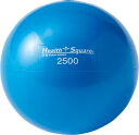 ダンノ DANNO ソフトSmallウエイトボール2500 ソフト ウエイト ウェイト グリップ力 握力 スナップ 手首 トレーニング ウエイトボール 宅トレ ...