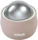 【4/30限り ポイント最大10倍】 ハタチ HATACHI リセットローラーLARGE NH3711