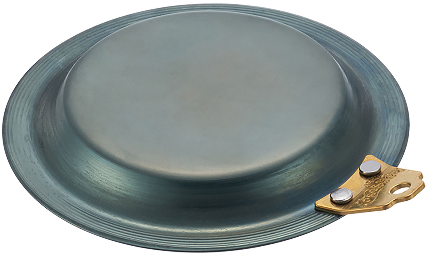 【25日限定 MAX3,000円OFFクーポン】 ロゴス LOGOS アウトドア LOGOS 鉄の職人グリルパン・ 13 用リッドプレート 81062265