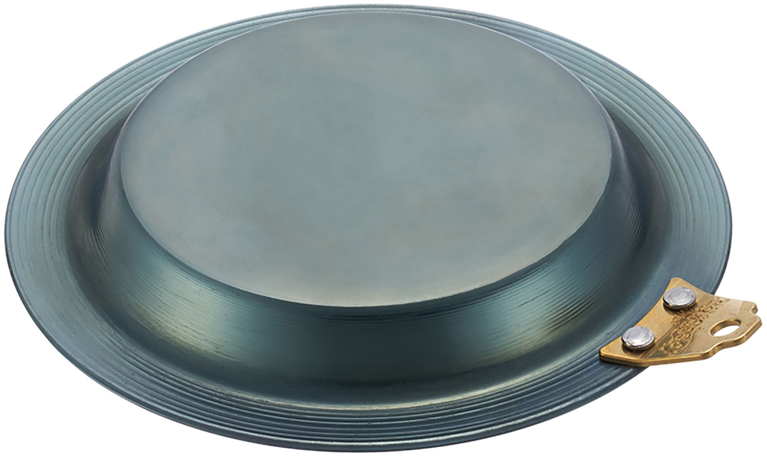 【25日限定 MAX3,000円OFFクーポン】 ロゴス LOGOS アウトドア LOGOS 鉄の職人グリルパン・ 16 用リッドプレート 81062266